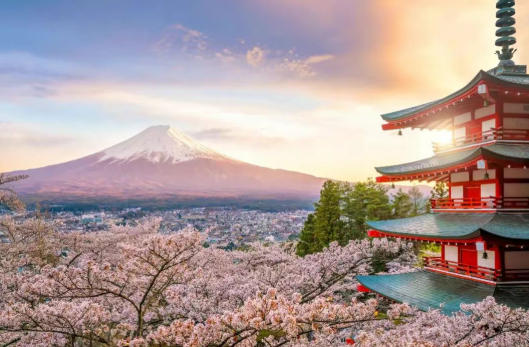 2025【精益生产+Karakuri 改善大会】一场关于“智慧”与“循环”的深度研学 2025【精益生产+Karakuri 改善大会】一场关于“智慧”与“循环”的深度研学